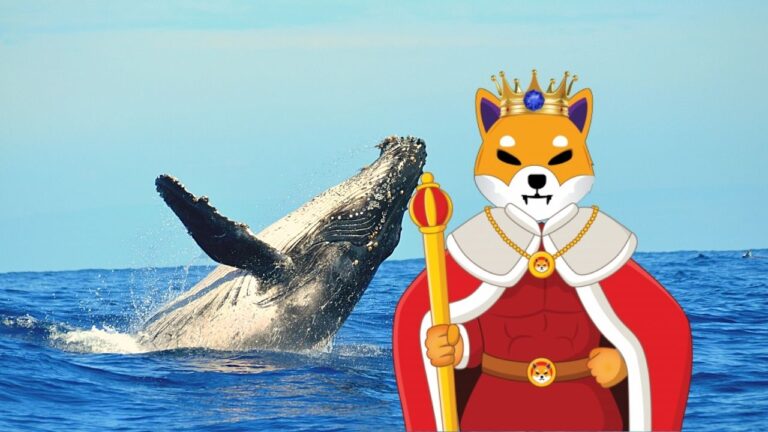Leia mais sobre o artigo 3 motivos por quais as baleias ainda compram Shiba Inu