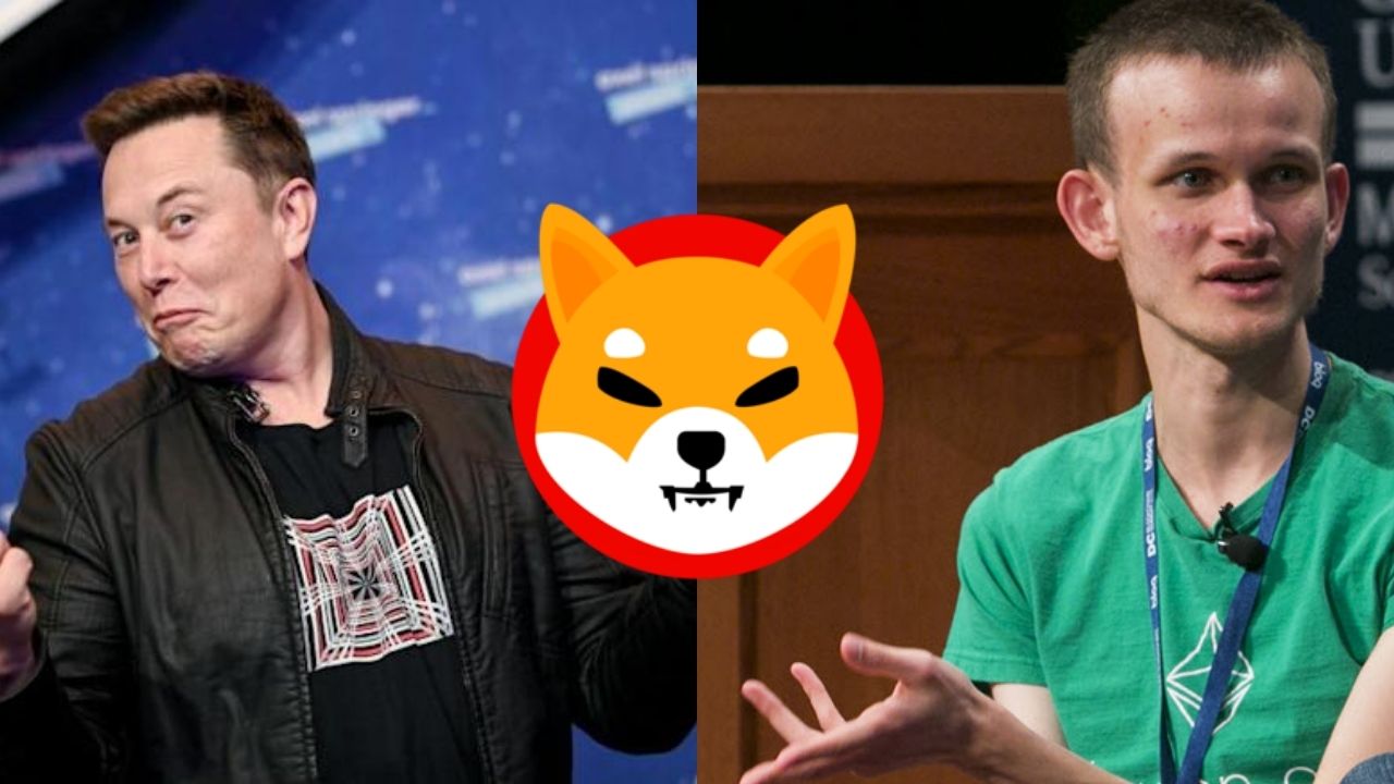 Você está visualizando atualmente Elon Musk e Vitalik Buterin seriam os criadores do Shiba Inu?