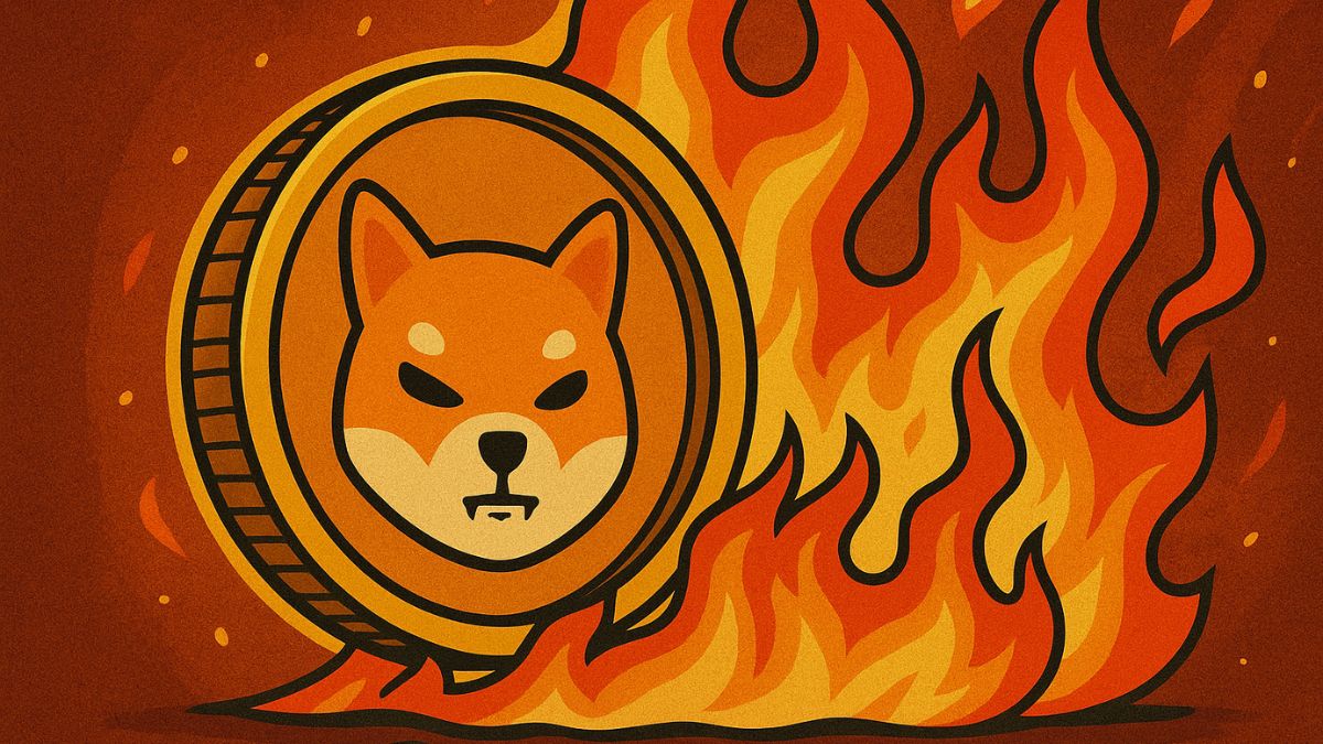 No momento, você está visualizando SHIB mais de 135 milhões de tokens viram poeira em uma semana